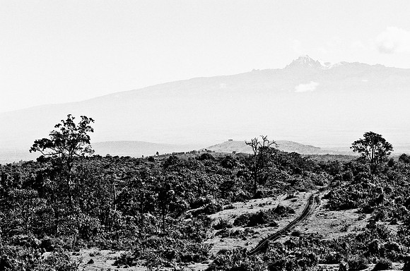 B3_82008_BW_194_New_Amboseli_Africa_89_16