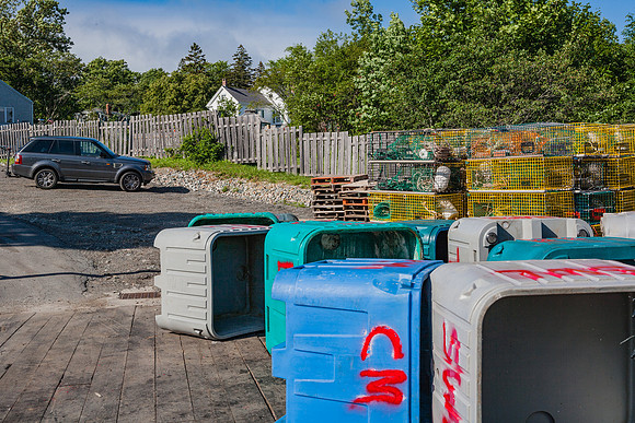 20060628_Maine_ZV4N1194