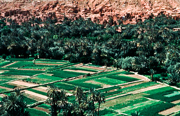 3223_SL_COLOR_TINERHIR_TO_GORGES_TODRA_MAROCCO_II_1998_17