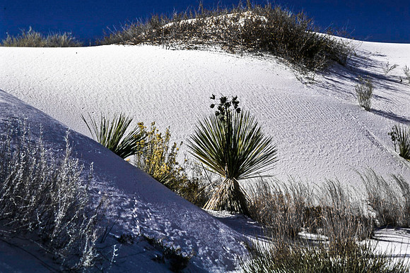 47896_B16_SL_COLOR_LA_MESILLA0_TO_WHITE_SOUNDS_NAT_MNY_HWY20_NM_97_1616.jpg
