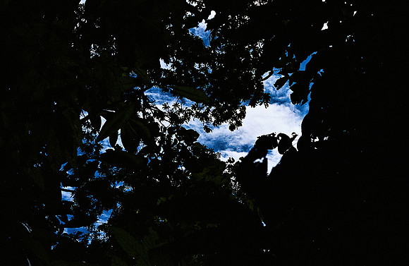 FILM