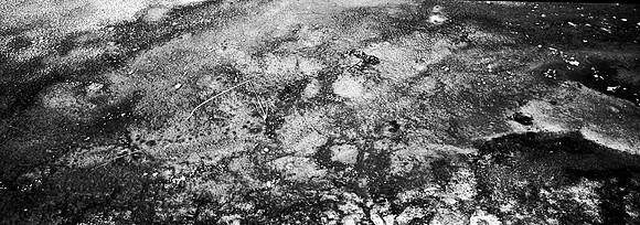 36108_B_FM_MONATANA_03_3.jpg