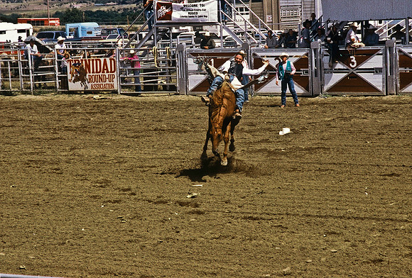 47492_B6_SL_COLOR_TRINIDAD_RODEO_CO_97_08.jpg