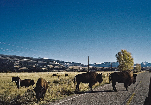 6087_FM_COLOR_ASPEN_TO_INDEPENDENT_CO_05_15.jpg