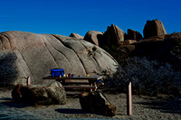 06646_DG_COLOR_JOSHUA_TREE_NAT_PARK_29_PALMS_CALIFORNIA_CA_USA_2007_ZV4N_500