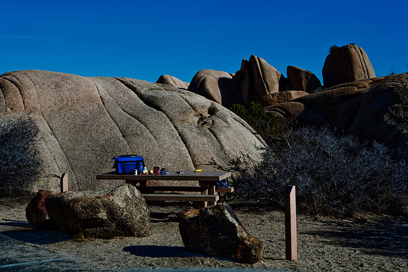 06646_DG_COLOR_JOSHUA_TREE_NAT_PARK_29_PALMS_CALIFORNIA_CA_USA_2007_ZV4N_500