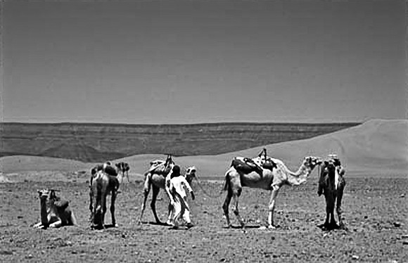 3194_SL_COLOR_TAMGROUTE_DUNES_MAROCCO_II_1998_7