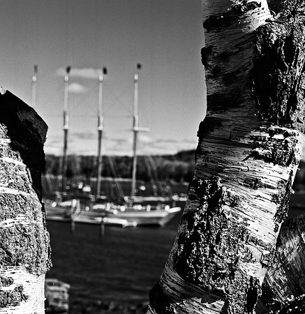 2253_FM_BW_CA_02_3.jpg