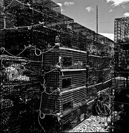 2255_FM_BW_CA_02_5.jpg