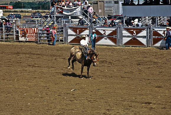 47494_B6_SL_COLOR_TRINIDAD_RODEO_CO_97_10.jpg