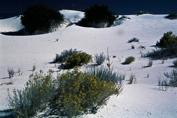 47894_B16_SL_COLOR_LA_MESILLA0_TO_WHITE_SOUNDS_NAT_MNY_HWY20_NM_97_1653.jpg