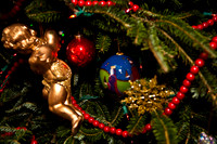 2523_Jorge_Perez_Family_Home_Christmas_ZV4N2837