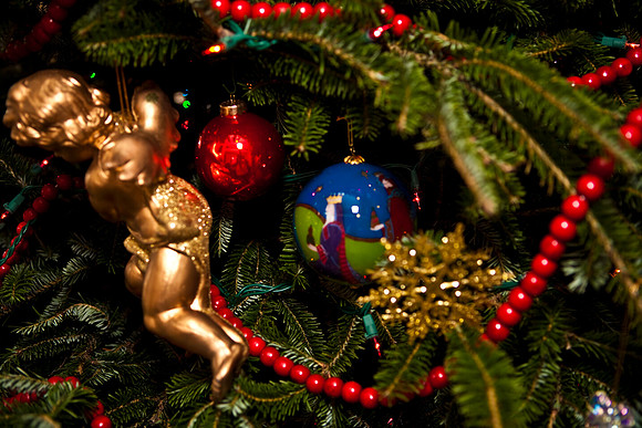 2523_Jorge_Perez_Family_Home_Christmas_ZV4N2837