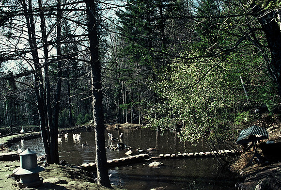 64039_B1_SL_COLOR_UP STATE_NY_86_18.jpg