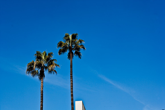 06626_DG_CALIFORNIA_USA_2007_ZV4N_8427