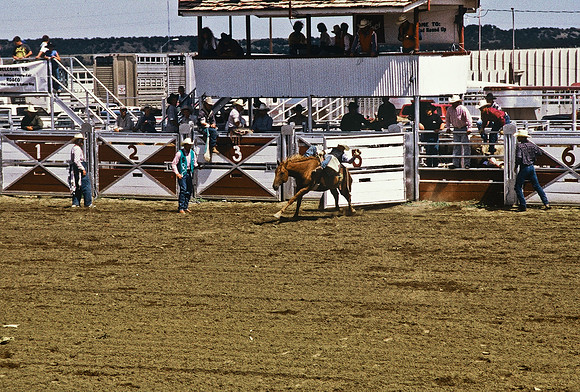 47492_B6_SL_COLOR_TRINIDAD_RODEO_CO_97_05.jpg