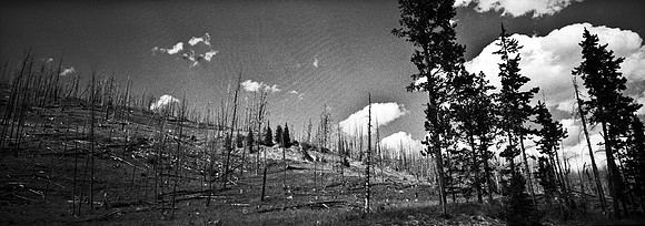 7552_FM_BW_XPAND_AZ_01_12.jpg