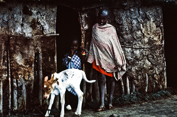 55422_SL_COLOR_TRIBE_CAMP_MASAI_KENYA_AFRICA_1989_5
