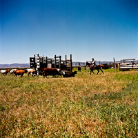 2406_FM_COLOR_ID_02_8.jpg