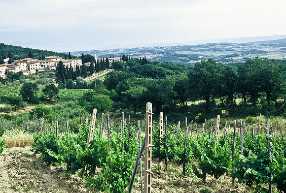 37341_SL_COLOR_ITALY_2000_2