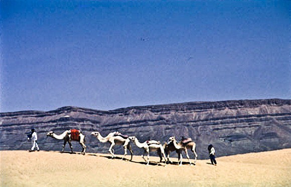 3189_SL_COLOR_TAMGROUTE_DUNES_MAROCCO_II_1998_19