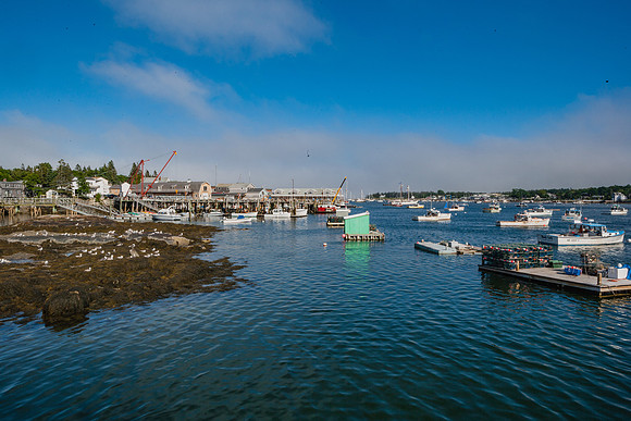 20060628_Maine_ZV4N1186