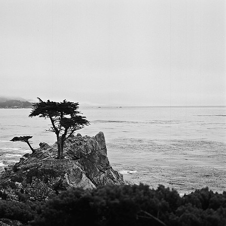 2368_FM_BW_CARMEL_CA_02_4.jpg