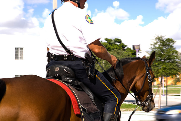 84782_ZV4N8178_FL_Miami_USA