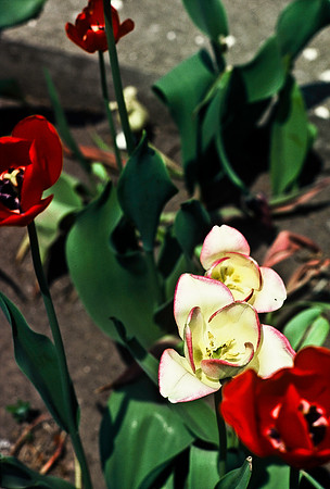 47363_B3_SL_COLOR_SL_COLOR_SURROUNDINGS_NE_97_16.jpg