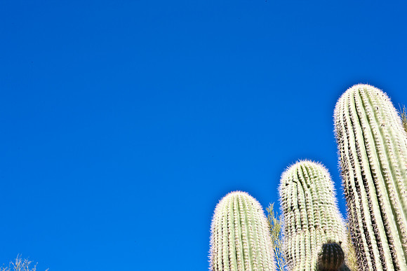 0031_La_Arizona_5L8Y5404