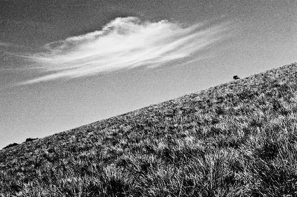 B3_82008_BW_194_New_Amboseli_Africa_89_27
