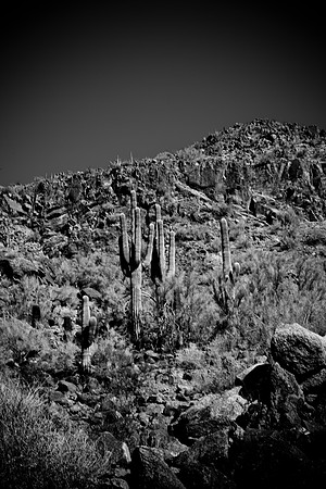 0031_La_Arizona_5L8Y5423
