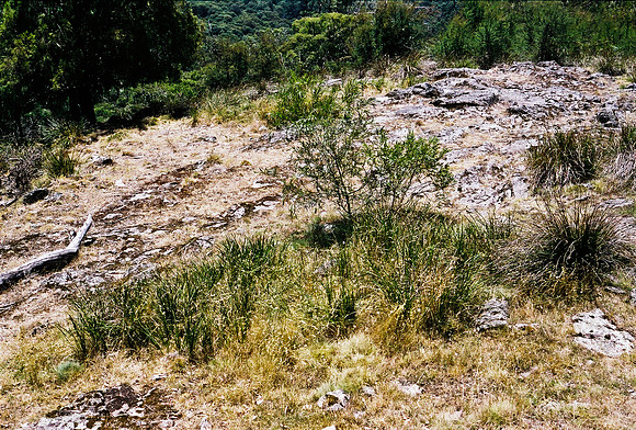 3906_FM_BOX_I_COLOR_35MM_NSM_AUSTRALIA_2008_9