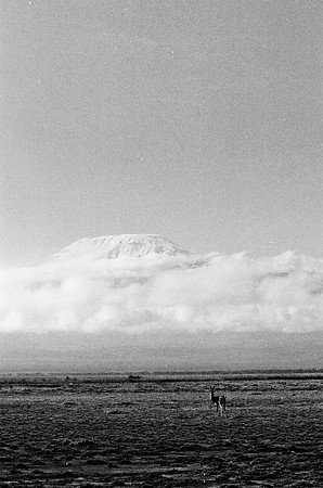 B3_82005_BW_194_New_Masa_Mara_Africa_89_17