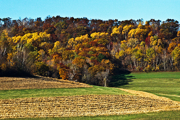 0337_FM_COLOR_MINESOTA_99_78.jpg