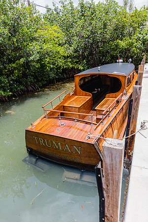 20160714_Key_West_Little_Palm_075A0659