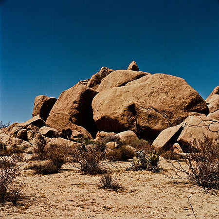 2334_FM_COLOR_JOSHUA_TREE_CA_02.jpg