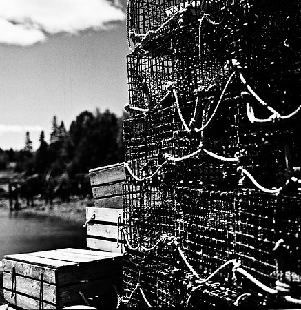 2255_FM_BW_CA_02_3.jpg