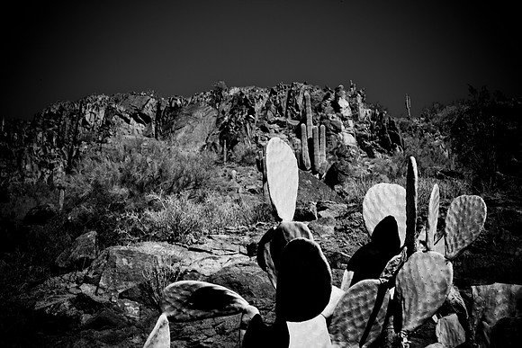 0031_La_Arizona_5L8Y5205