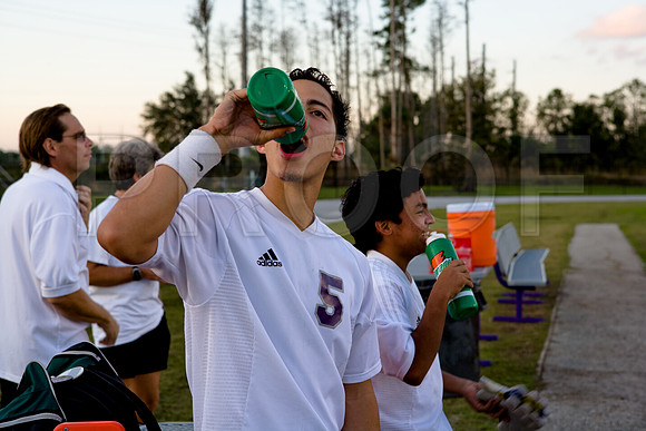 36204_DG_Color_USA_Osceola_County_Celebration_Town_FLZV4N7971