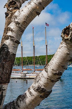 20060628_Maine_ZV4N1081