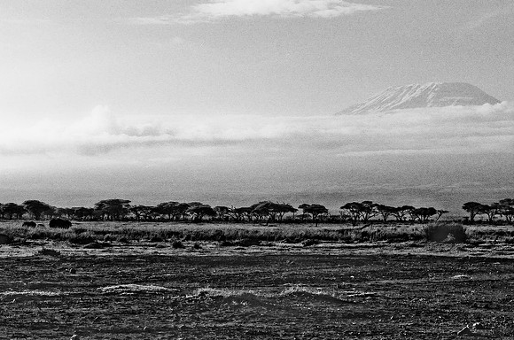 B3_82005_BW_194_New_Masa_Mara_Africa_89_4