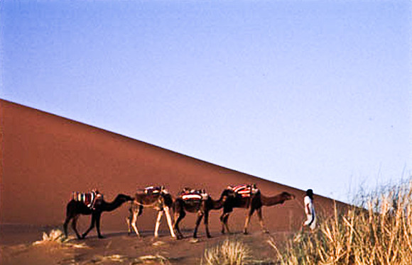 3208_SL_COLOR_MERZOUGA_SHAHARA_MAROCCO_II_1998_7