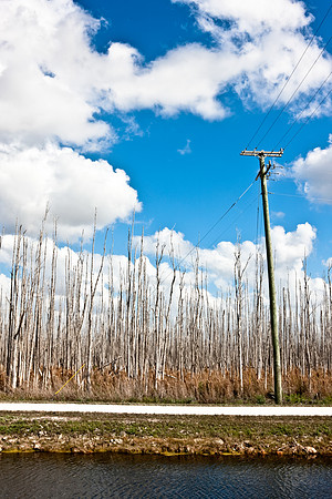 2528_EVERGLADES_MIAMI_FLORIDA_200903016_5L8Y2661