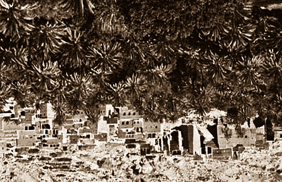 3222_SL_COLOR_TINERHIR_TO_GORGES_TODRA_MAROCCO_II_1998_4