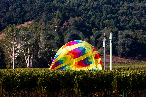 20080904_DVD25_DG_USA_Los_Olivos_CA_20080904_DVD25_DG_USA_Napa_CA_4732_full_blead
