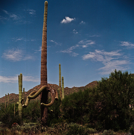 6016_FM_COLOR_TUCSON_AZ_05_3.jpg