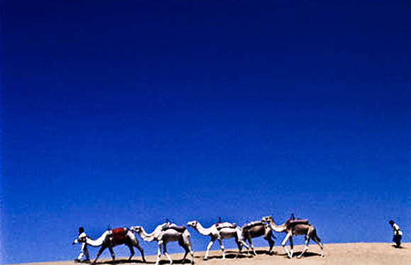 3193_SL_COLOR_TAMGROUTE_DUNES_MAROCCO_II_1998