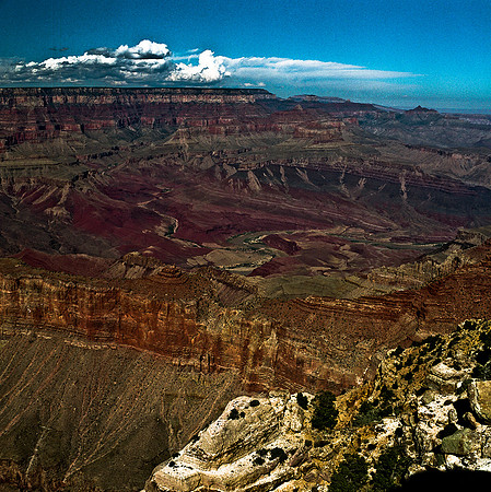 6124_COLOR_SQ_Grand_Cayon_National_Park_ARIZONA_USA_05_8.jpg