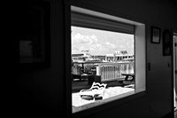 3876_DG_Cayman_Island_Caribbean_ZV4N0040